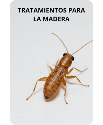 Tratamiento para madera