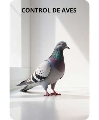 Control de aves