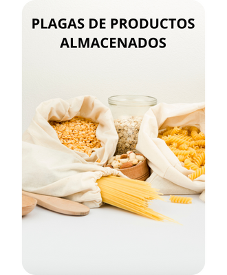 Plagas de productos almacenados